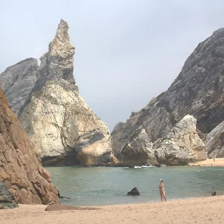 Papoila